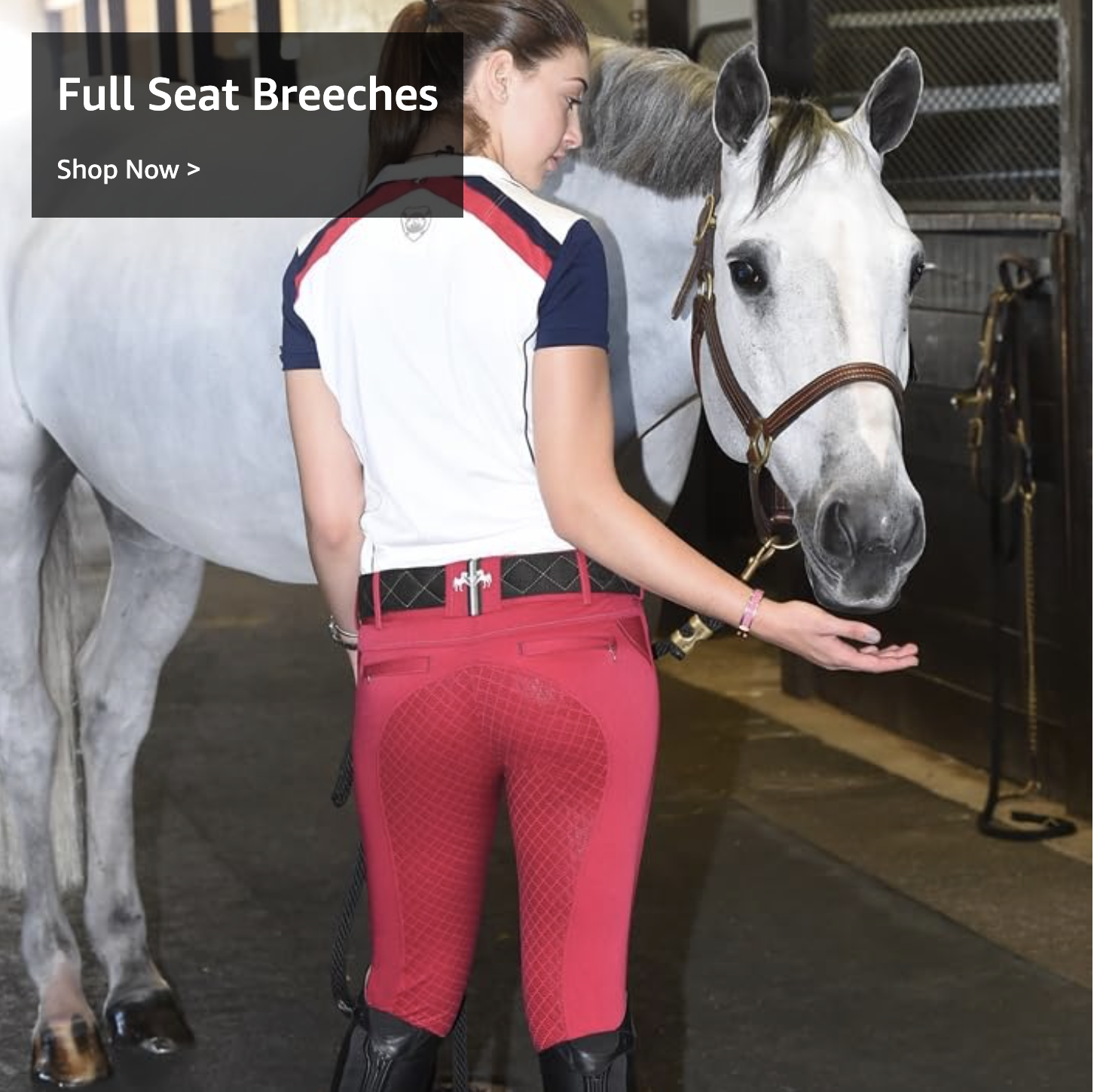 Full Seat Breeches
