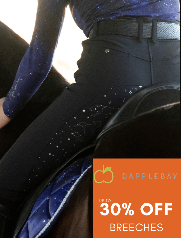 30% Off Dapplebay