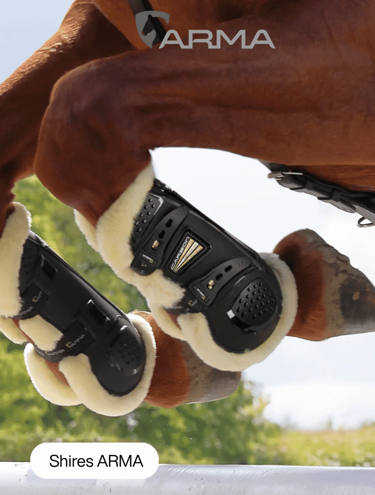 Shop Shires ARMA