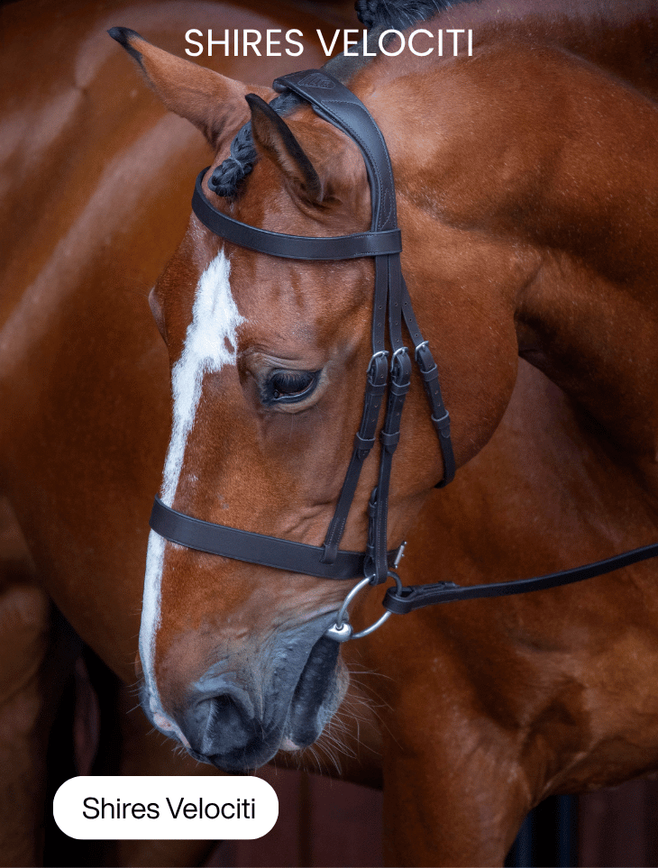 Shires Velociti Bridlework
