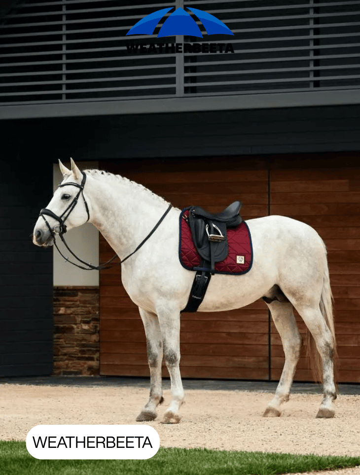 Weatherbeeta Saddle Pads