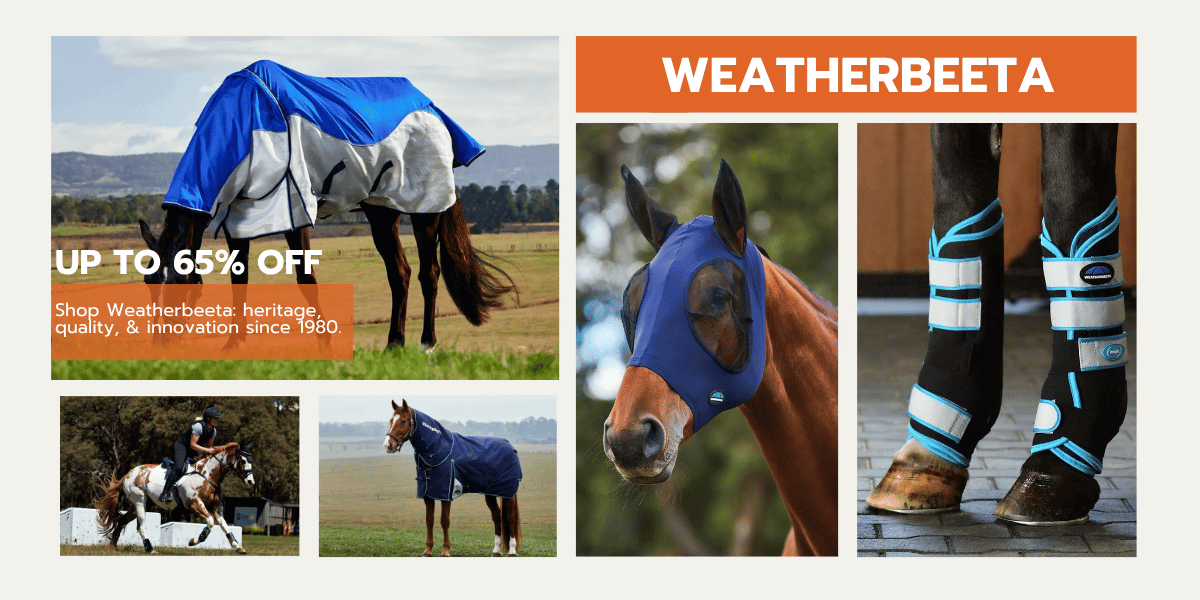 Weatherbeeta - Whatever the Weather