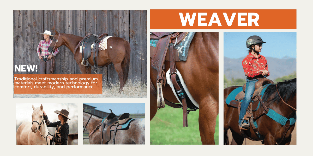 Weaver Equine