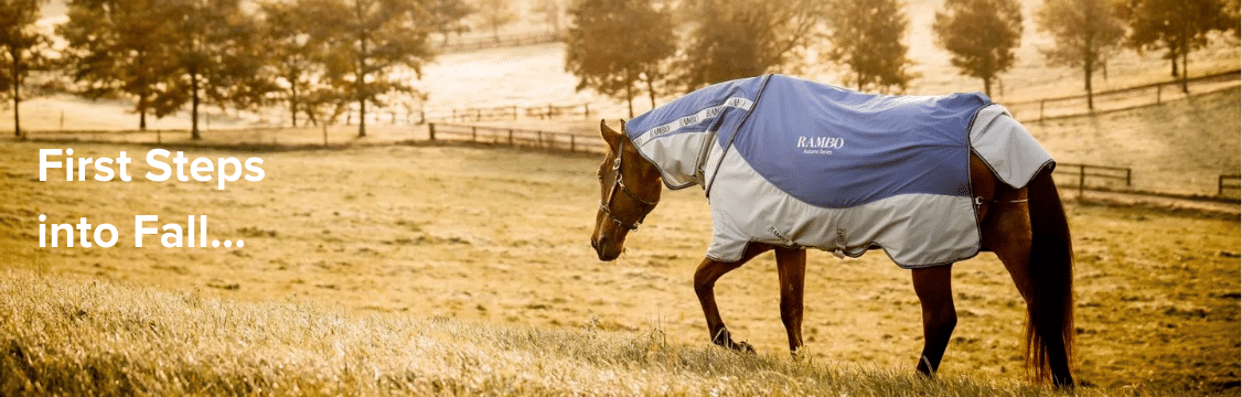 Turnout Blankets for Fall