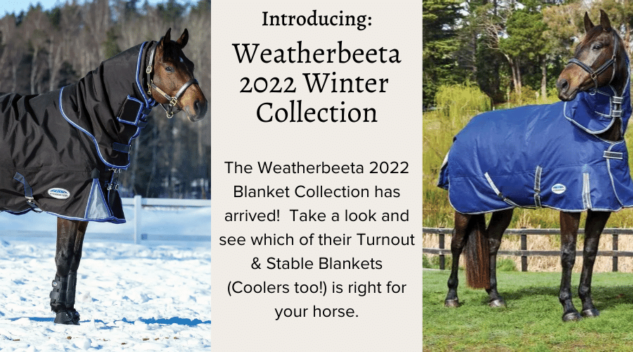 Shop for Weatherbeeta Blankets