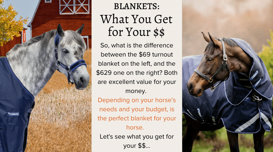 Blankets: What you Get for Your $$