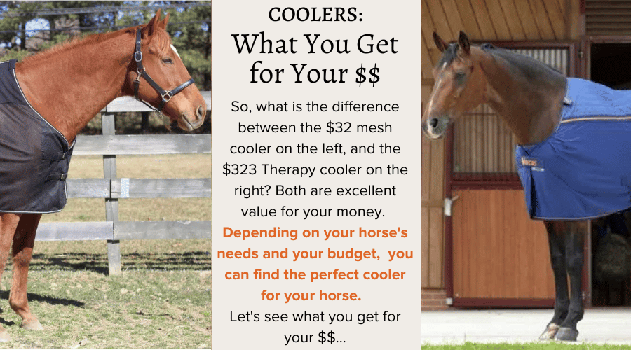 Cooers - What you Get for Your $$