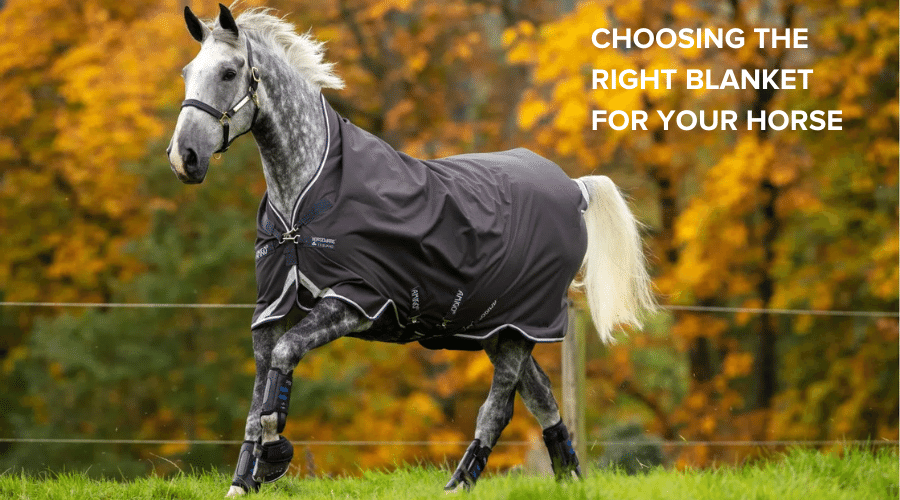 Choosing the Right Blanket for your Horse