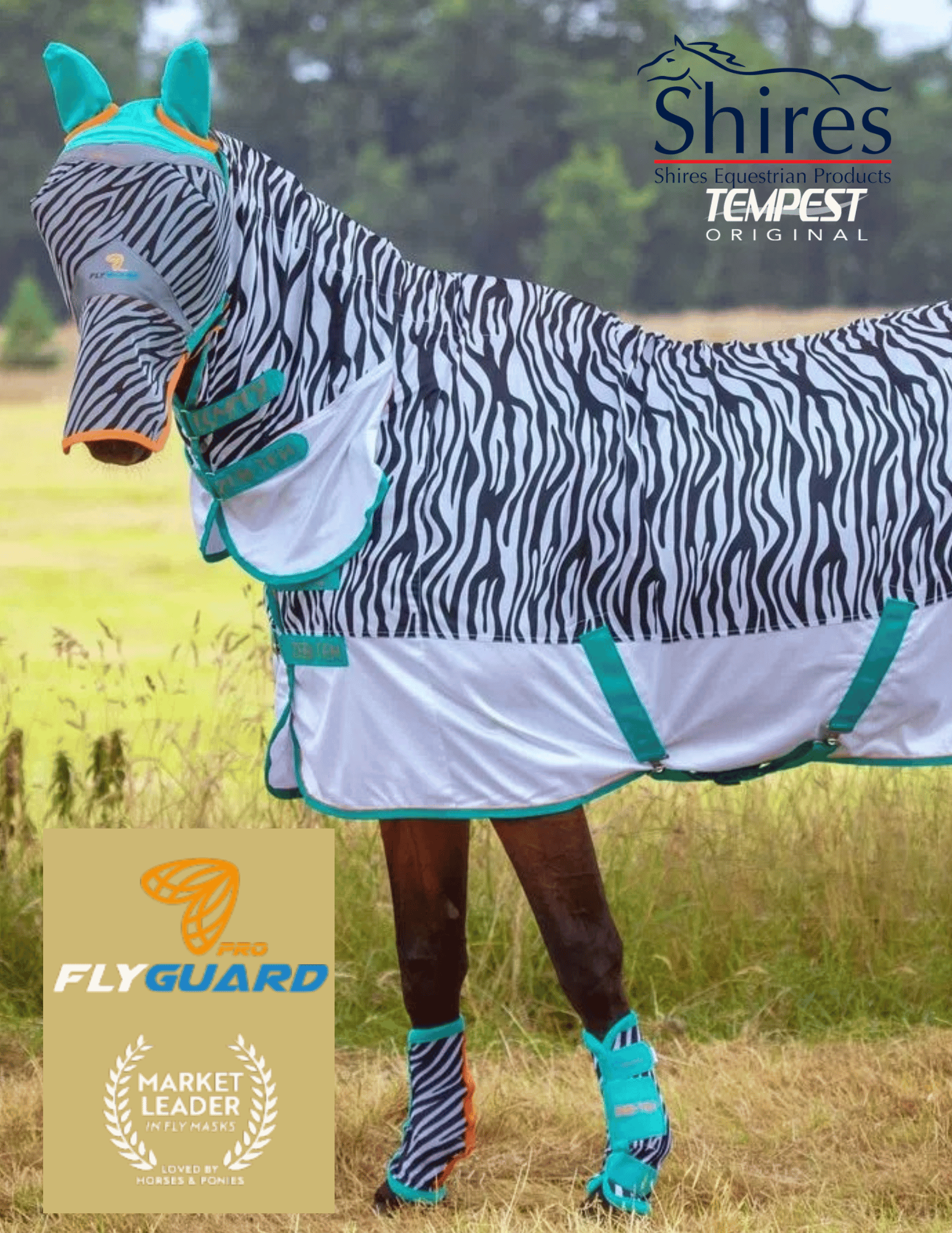 CLICK, Flip & Shop the Shires Fly Collection Look Book