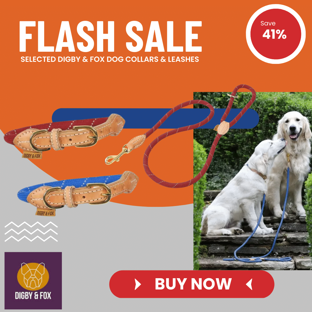 Shop for Digby and Fox on Sale