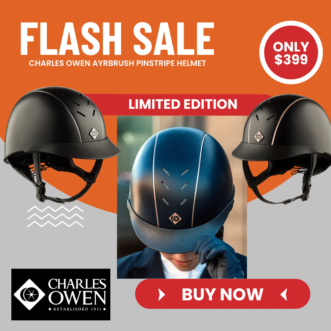 Charles Owen Ayrbrush Pinstripe Helmet