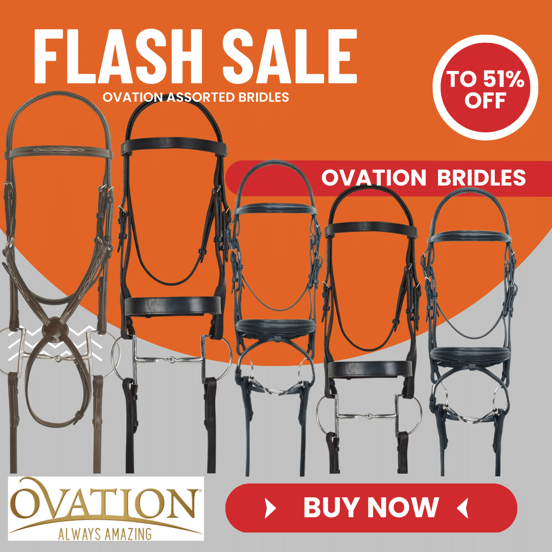 Ovation Bridles up to 51% Off