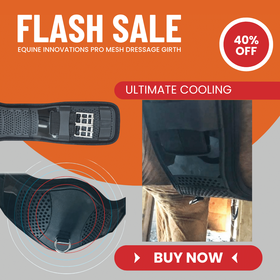 Equine Innovations Pro Mesh Dressage Girth