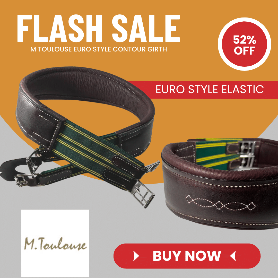Shop M Toulouse Euro Style Contour Padded Girth