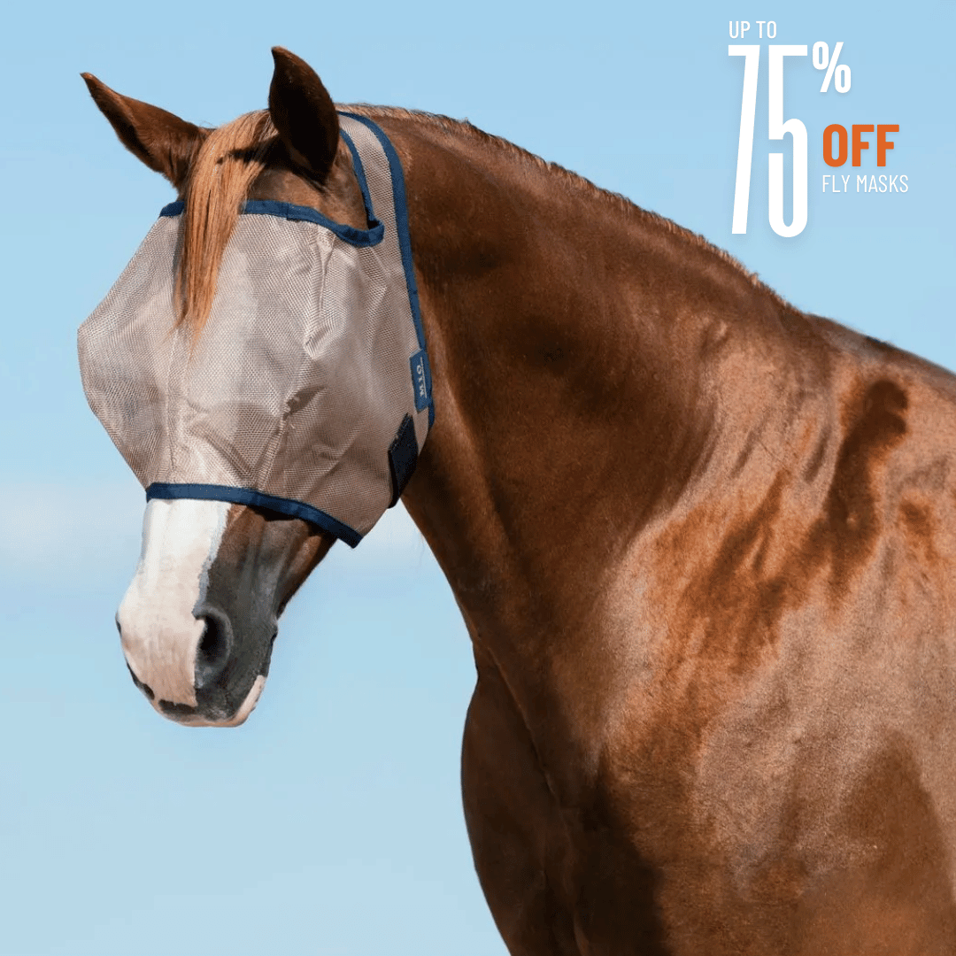 Up to 75% off Fly Masks