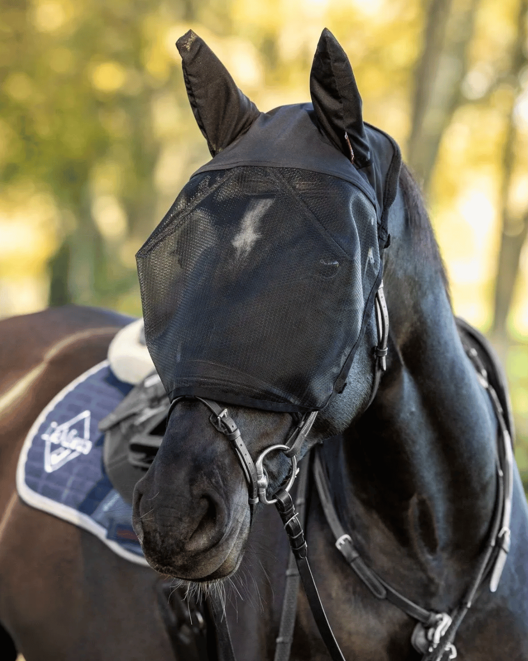 LeMeiux Ride On Fly Mask