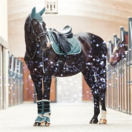 Gifts for your Horse