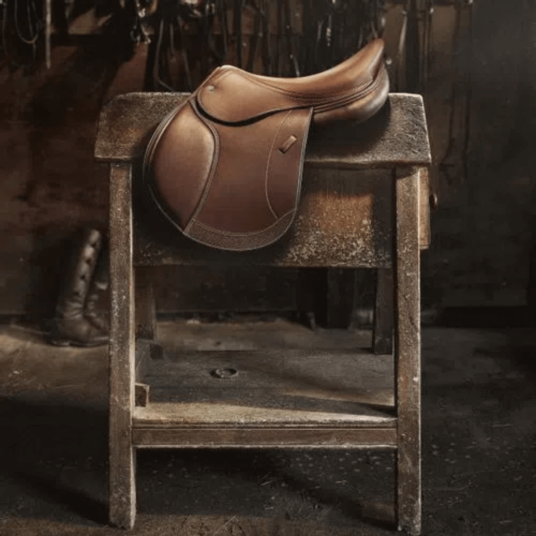 Dream Gift - Saddles