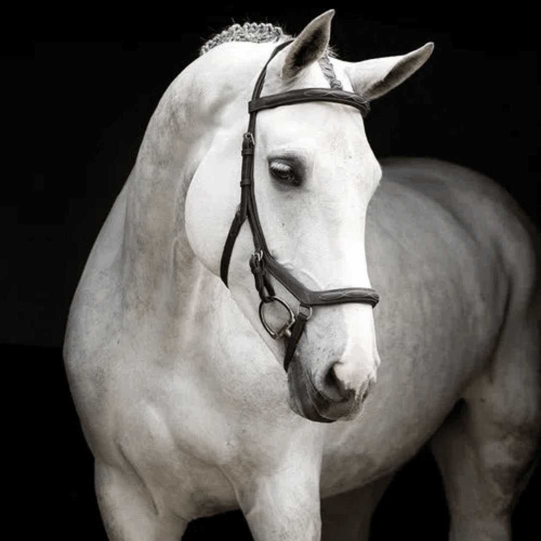 Micklem Ergonomic Bridles from $99