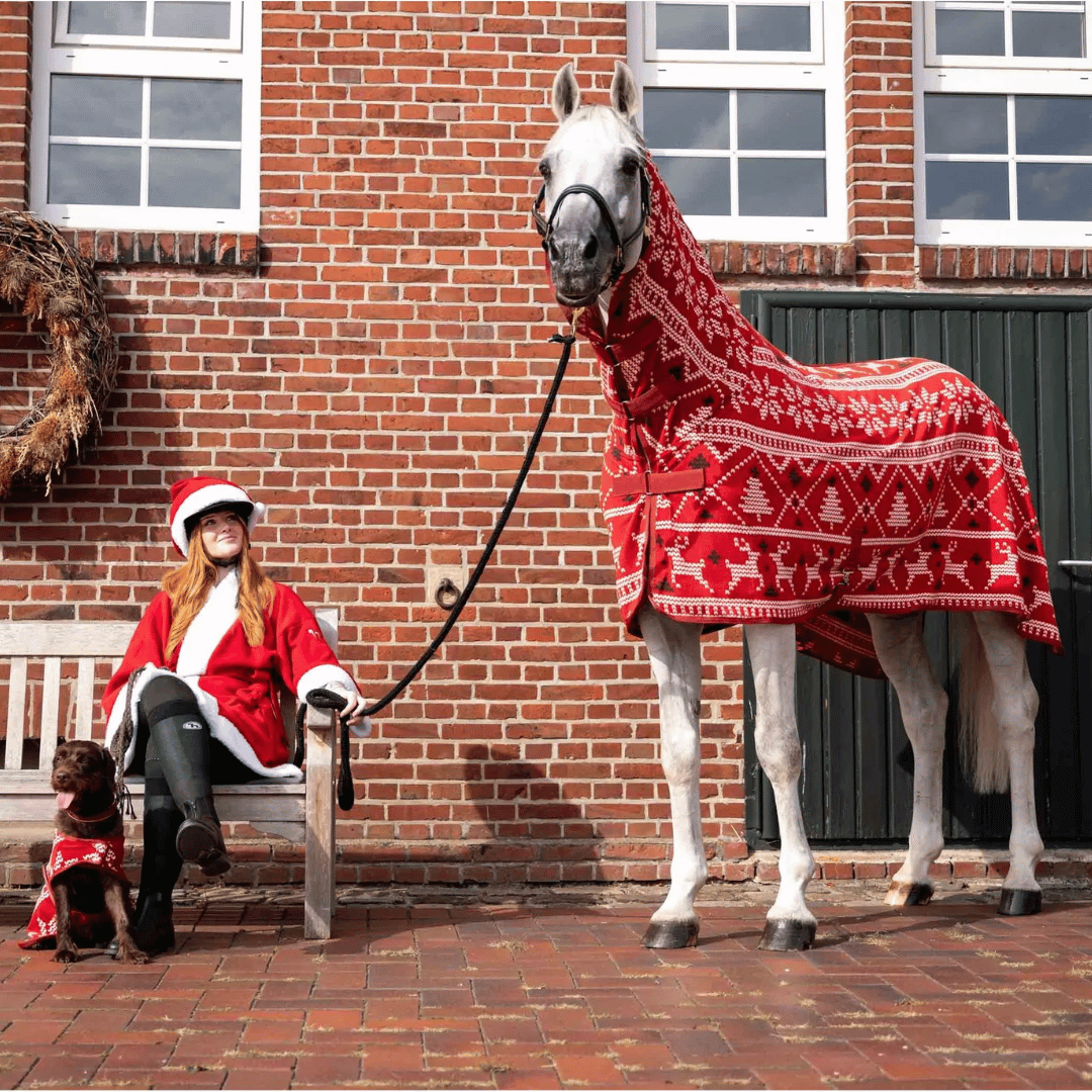 Cozy Coolers for your Horse