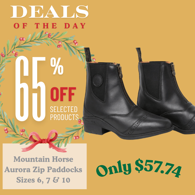 Mountain Horse Aurora Zip Paddocks