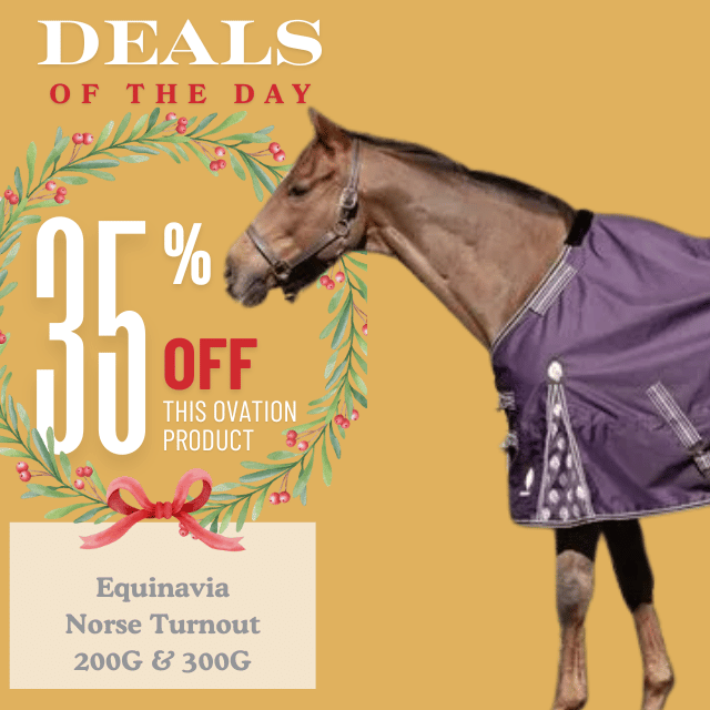 Equinavia Norse Turnout
