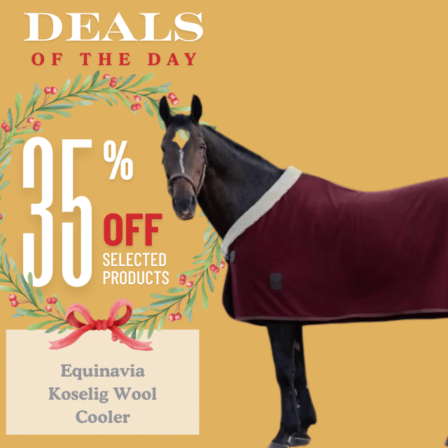 Equinavia Koselig Wool Cooler