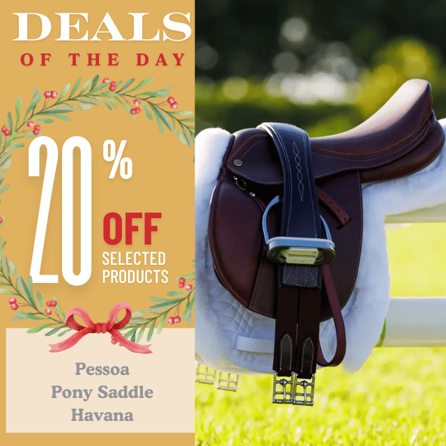 Pessoa Pony Saddle - The Perfect Holiday Gift