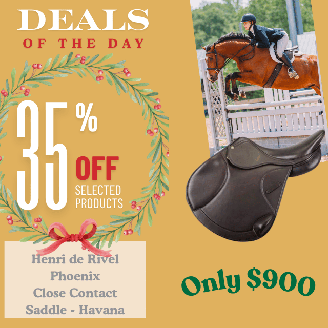 Henri de Rivel Phoenix CC Saddle
