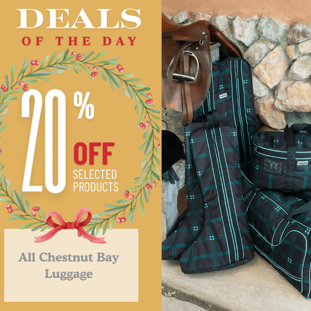 Chestnut Bay Luggage Sets