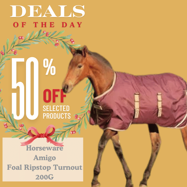 Amigo Foal Blanket
