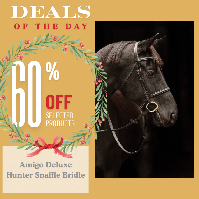 Amigo Deluxe Hunter Snaffle Bridle