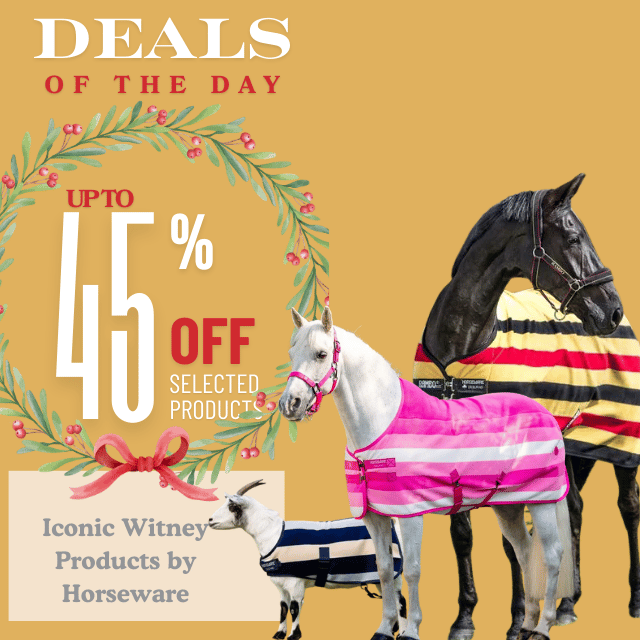 Iconic Witney by Horseware