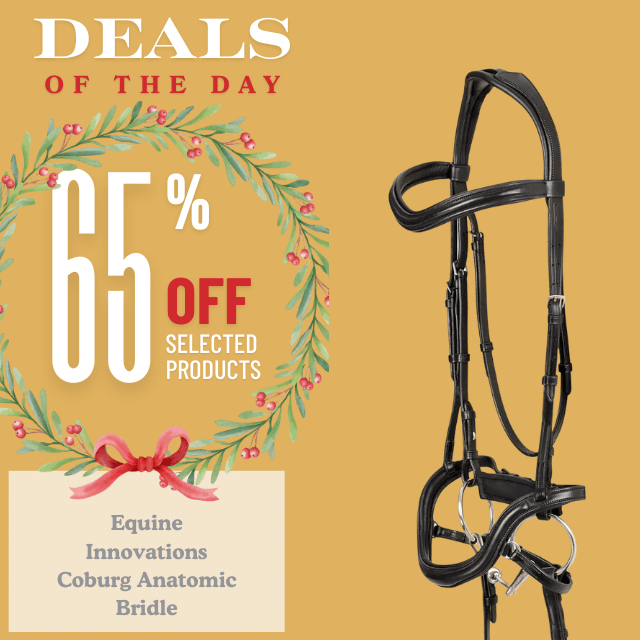 Equine Innovations Coburg Anatomic Bridle