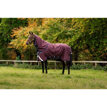 Amigo Bravo 12 Plus Turnout 400g