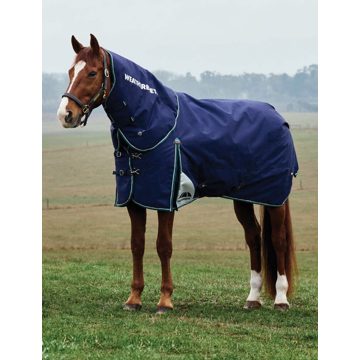 Weatherbeeta Comfitec Plus Dynamic Turnout Detach-A-Neck 360g