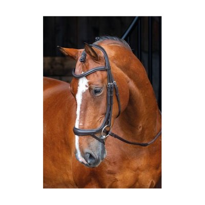 Shires Velociti Rapida Ergonomic Curved Flash Bridle - Black