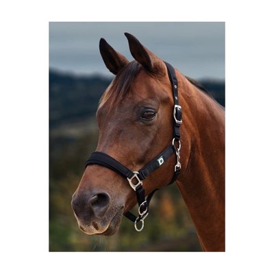 Dublin Neo Comfort Breakaway Headcollar - Black