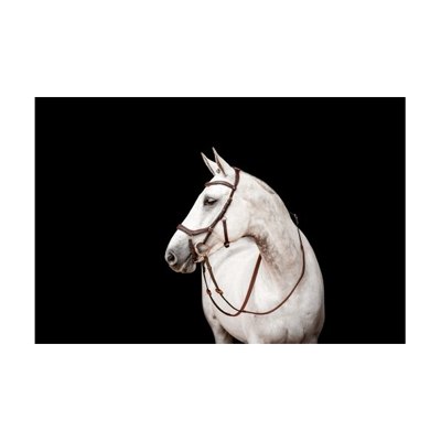 Rambo Micklem 2 Competition Bridle w/Reins - Dark Havana