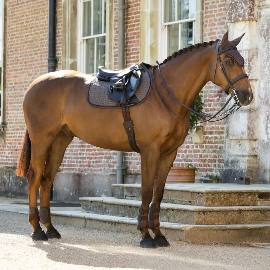 A rider in an autumn field with her horse in a LeMieux saddle pad