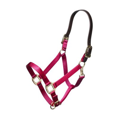 Shires Nylon Halter w/Leather Head Strap - Raspberry