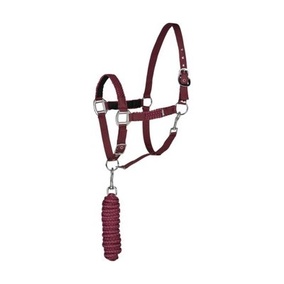 Horze Chicago Halter and Lead Rope - Wine Red/Violet Quartz Purple
