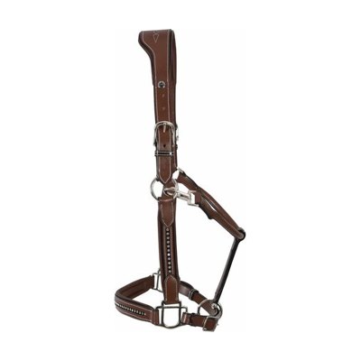 Henri de Rivel Padded Crystal Halter - Australian Nut