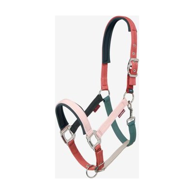 LeMieux Medley Headcollar - Spiced Earth/Petal/Aloe