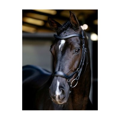 LeMieux Arika Drop Bridle - Black/Silver