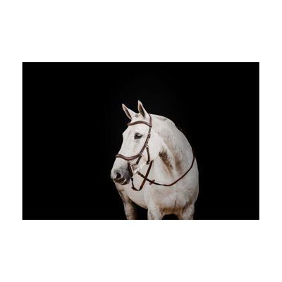 Rambo Micklem 2 Deluxe Competition Bridle w/Reins - Dark Havana