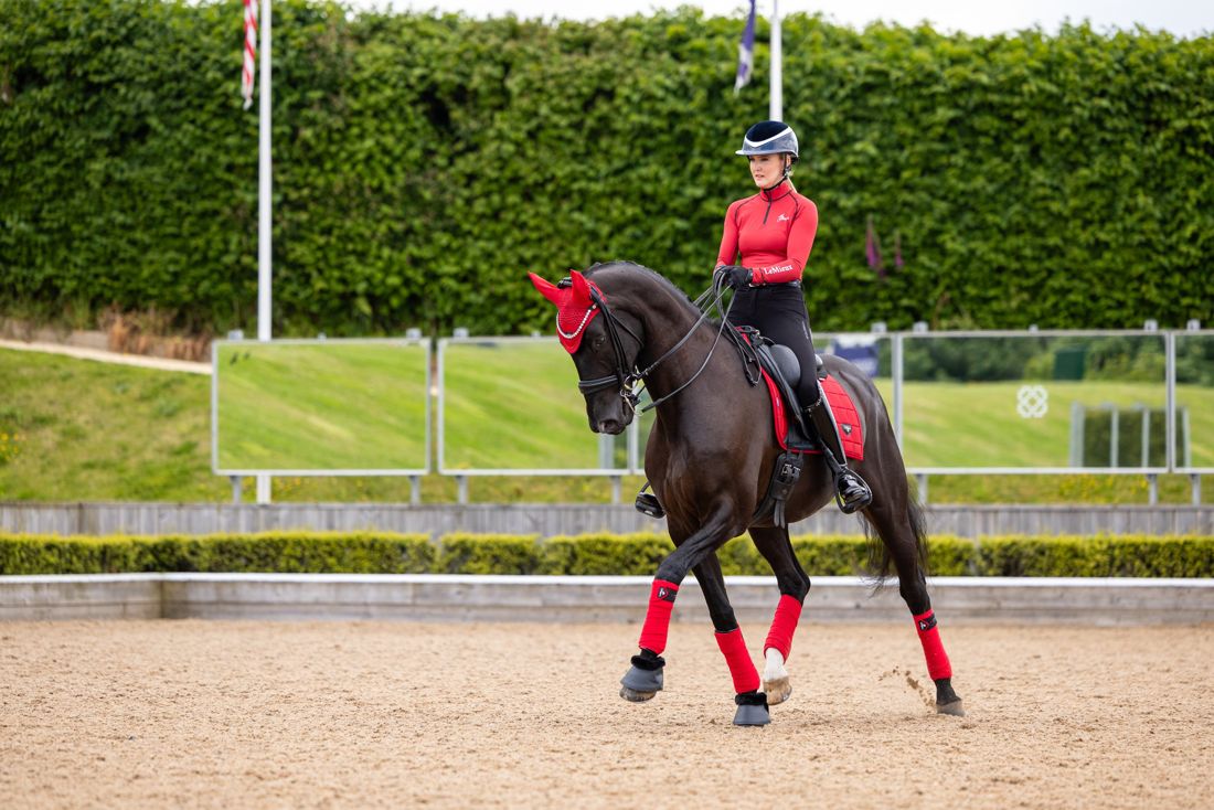 A rider schooling a dark horse in a red LeMieux saddle pad