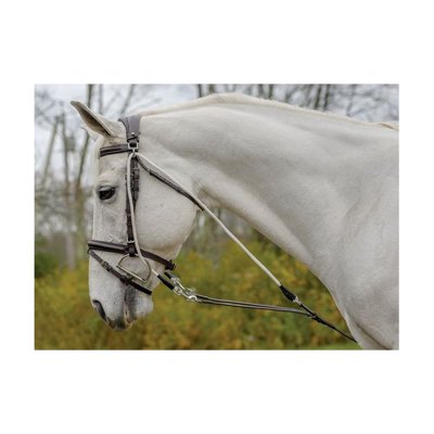 Shires Avignon De Gogue Trainng Aid - Havana