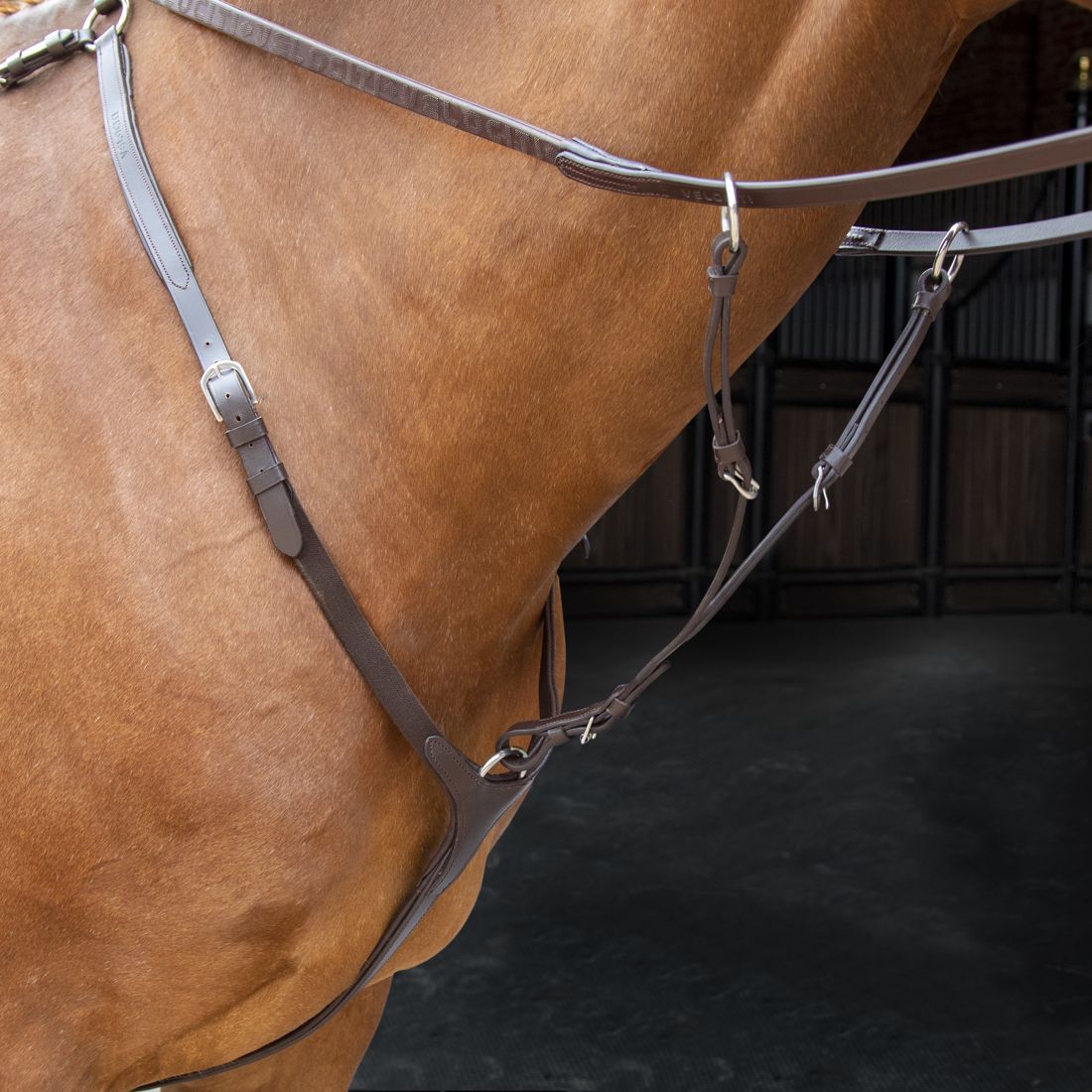 A chestnut horse wearing a Shires Velociti breastplate