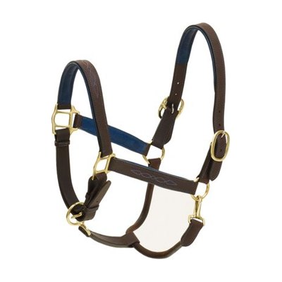Ovation Richtan Luxury Padded Halter - Brown/Blue